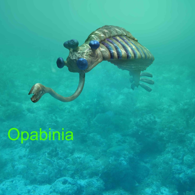 opabinia_hires-labeled